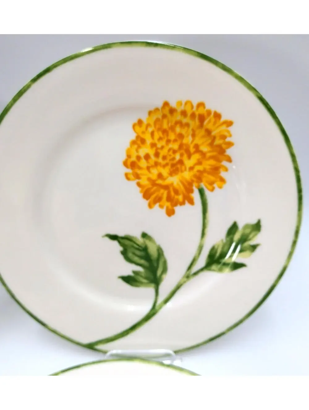 Pier 1 Imports Fall Floral Chrysanthemums SALAD PLATES 7 3/4